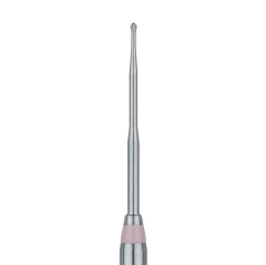 Munce Endo Burs 31mm 005