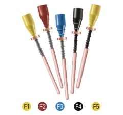 Thermafil® for ProTaper Gold®F2 (6)