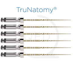 TruNatomy® Glider 31mm 017|.02v (6)
