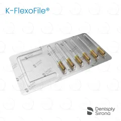ReadySteel® K-FlexoFile® 100, 31mm (6)