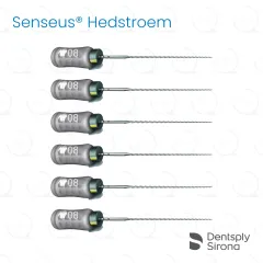 ReadySteel® Senseus® Hedstroem 08, 25mm (6)