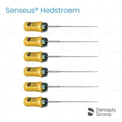 ReadySteel® Senseus® Hedstroem 20, 25mm (6)