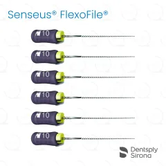 ReadySteel® Senseus® FlexoFile® 10, 21mm (6)
