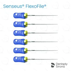 ReadySteel® Senseus® FlexoFile® 30, 21mm (6)