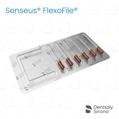 ReadySteel® Senseus® FlexoFile® 55, 31mm (6)