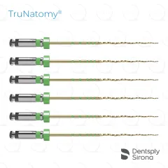 TruNatomy® Medium 36/.03v, 31mm (6)
