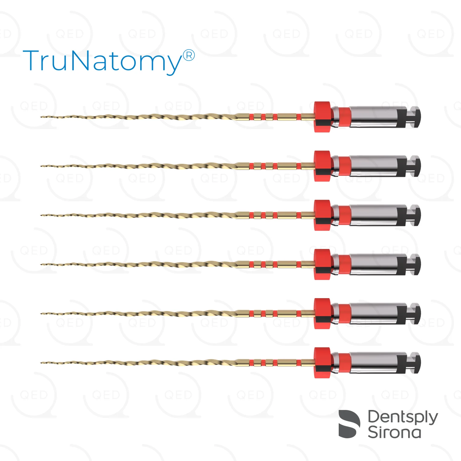 TruNatomy® Prime 26/.04v, 31mm (6)