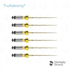 TruNatomy® Small 20/.04v, 21mm (6)