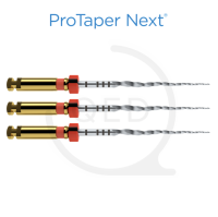 ProTaper Next™ X2|21mm (3)