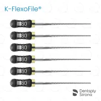 ReadySteel® K-FlexoFile® 80, 25mm (6)