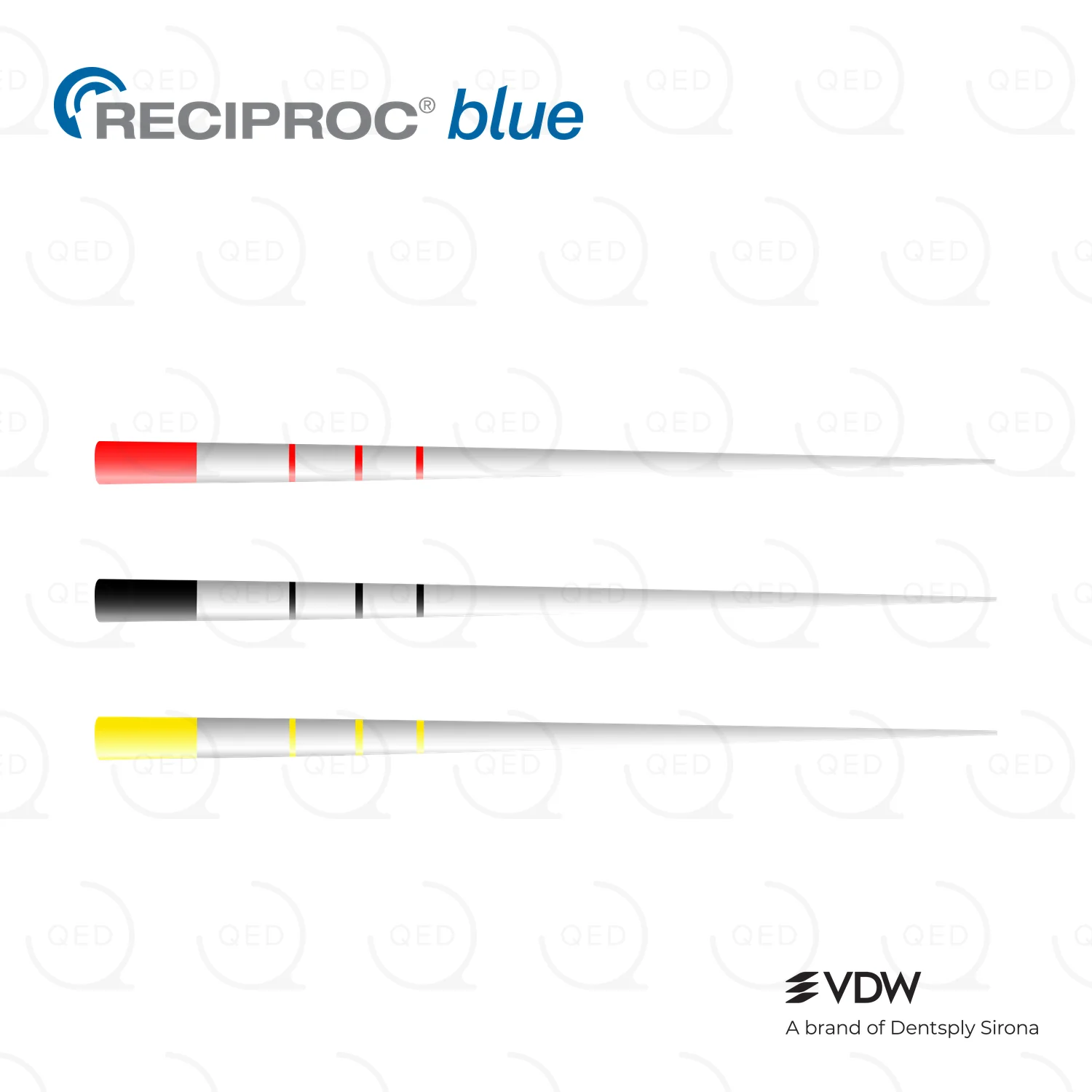 RECIPROC® blue Paper Points Ass (180)