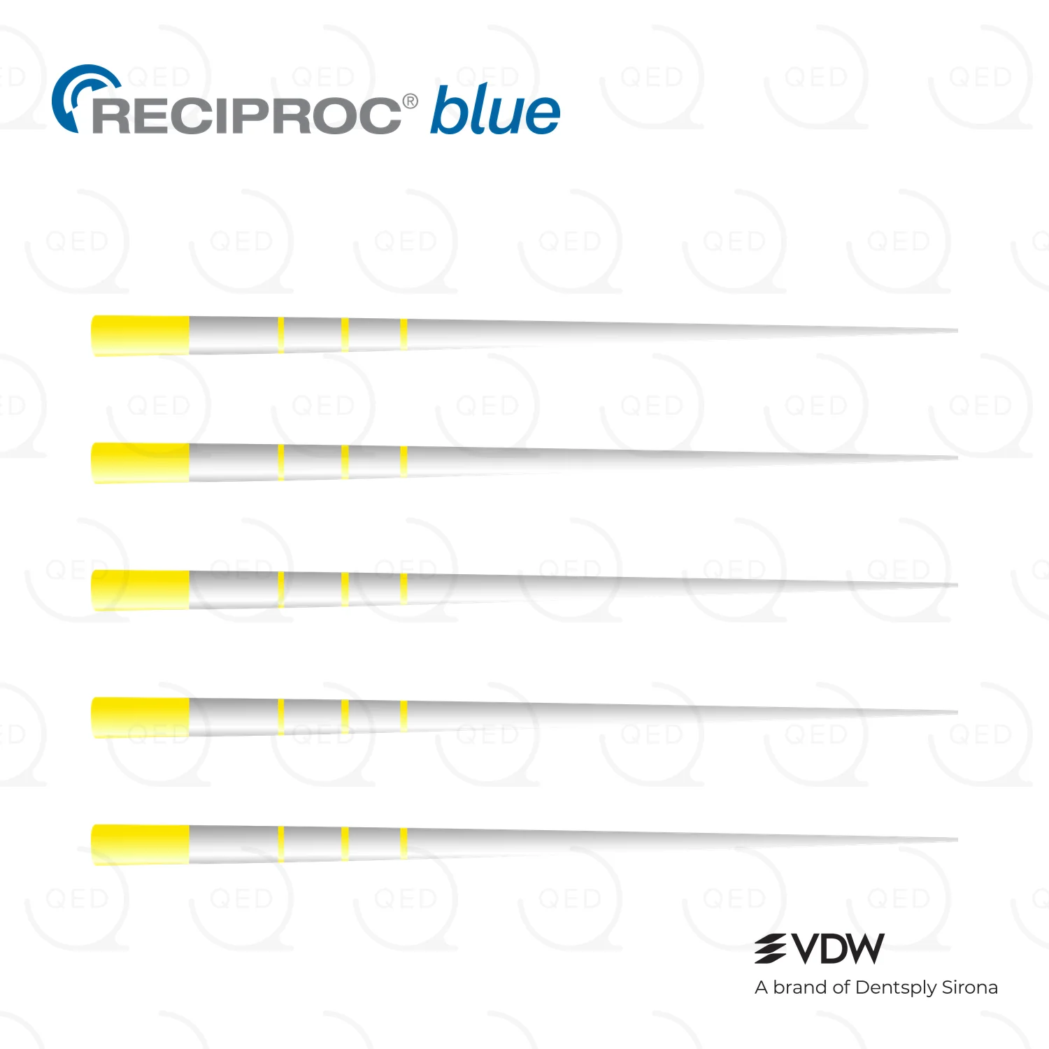 RECIPROC® blue Paper Points R50 (180)