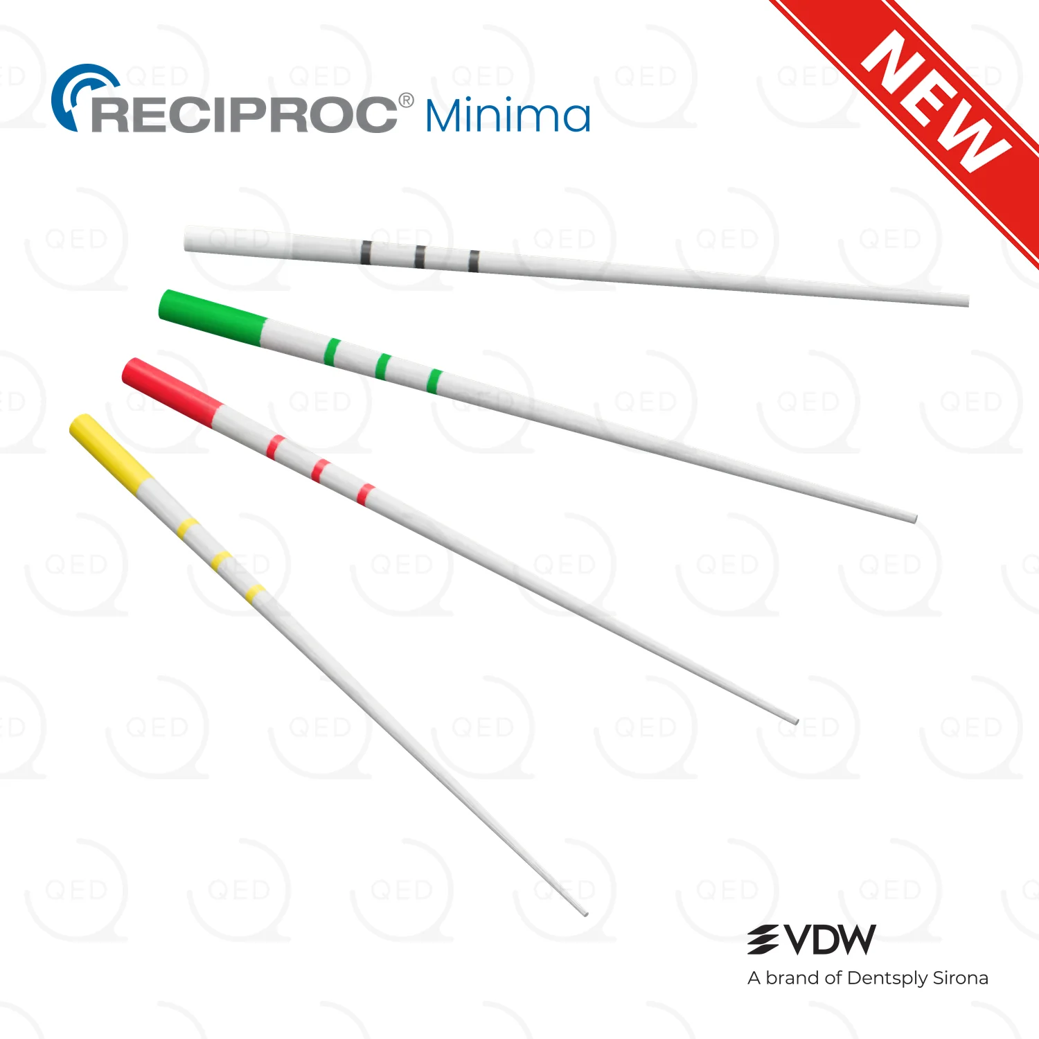 RECIPROC® Minima Paper Point Ass (180)