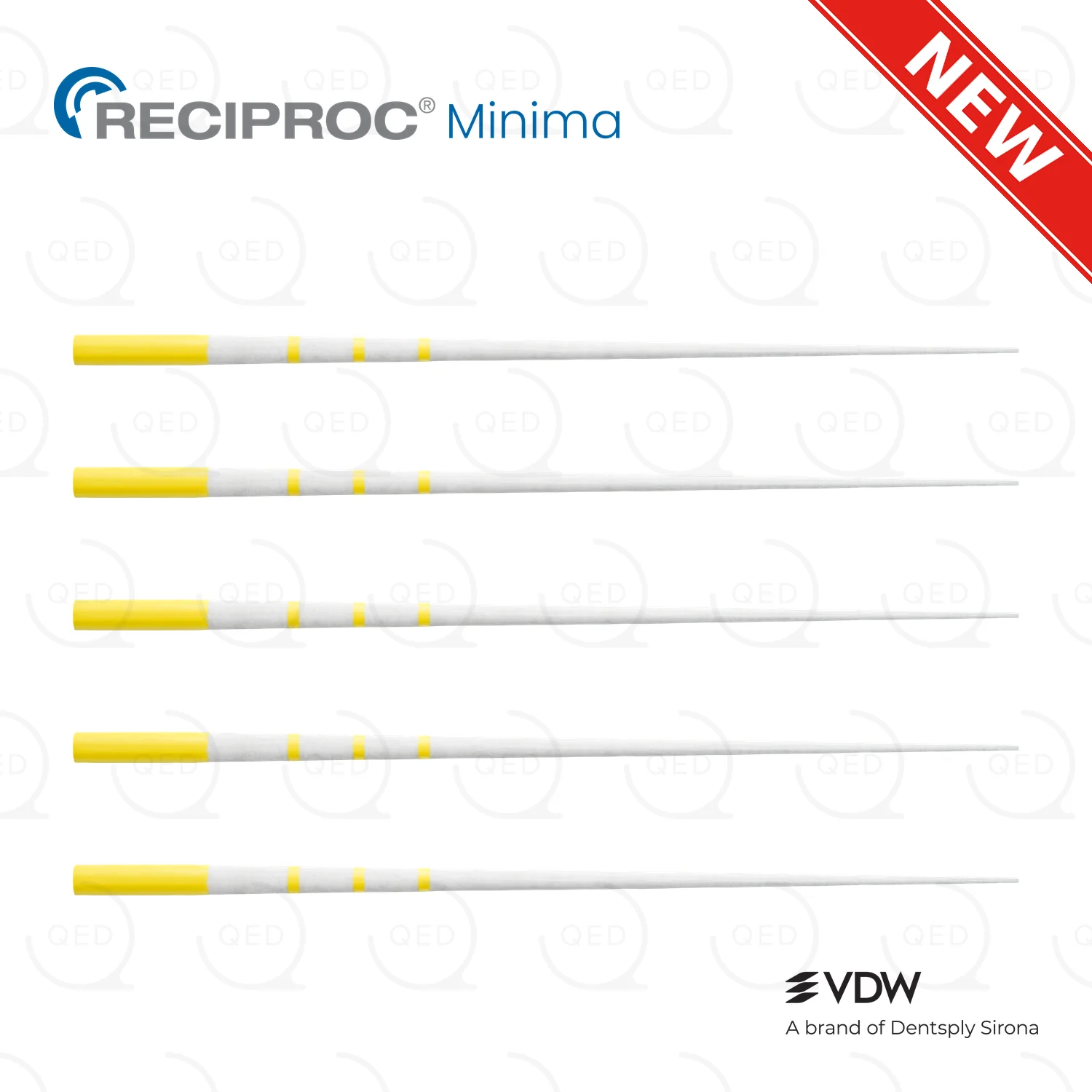 RECIPROC® Minima Paper Point R20 (180)