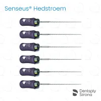 ReadySteel® Senseus® Hedstroem 10, 21mm (6)