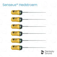 ReadySteel® Senseus® Hedstroem 20, 21mm (6)
