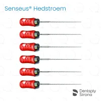 ReadySteel® Senseus® Hedstroem 25, 21mm (6)