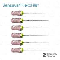 ReadySteel® Senseus® FlexoFile® 06, 25mm (6)