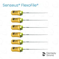 ReadySteel® Senseus® FlexoFile® 20, 31mm (6)