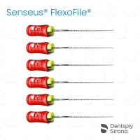 ReadySteel® Senseus® FlexoFile® 25, 31mm (6)