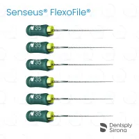 ReadySteel® Senseus® FlexoFile® 35, 25mm (6)