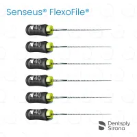 ReadySteel® Senseus® FlexoFile® 40, 21mm (6)