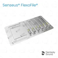 ReadySteel® Senseus® FlexoFile® 45, 25mm (6)