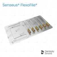 ReadySteel® Senseus® FlexoFile® 50, 31mm (6)