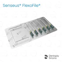 ReadySteel® Senseus® FlexoFile® 70, 31mm (6)