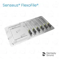 ReadySteel® Senseus® FlexoFile® 80, 25mm (6)