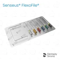 ReadySteel® Senseus® FlexoFile® 45-80 Assorted, 31mm (6)