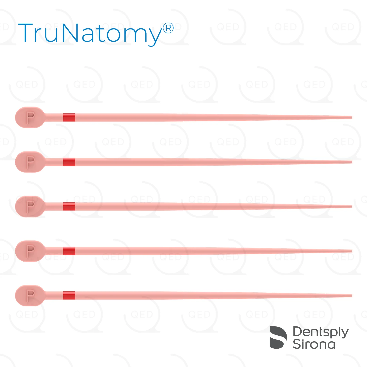 TruNatomy® Conform Fit™ Gutta Percha, Prime (60)