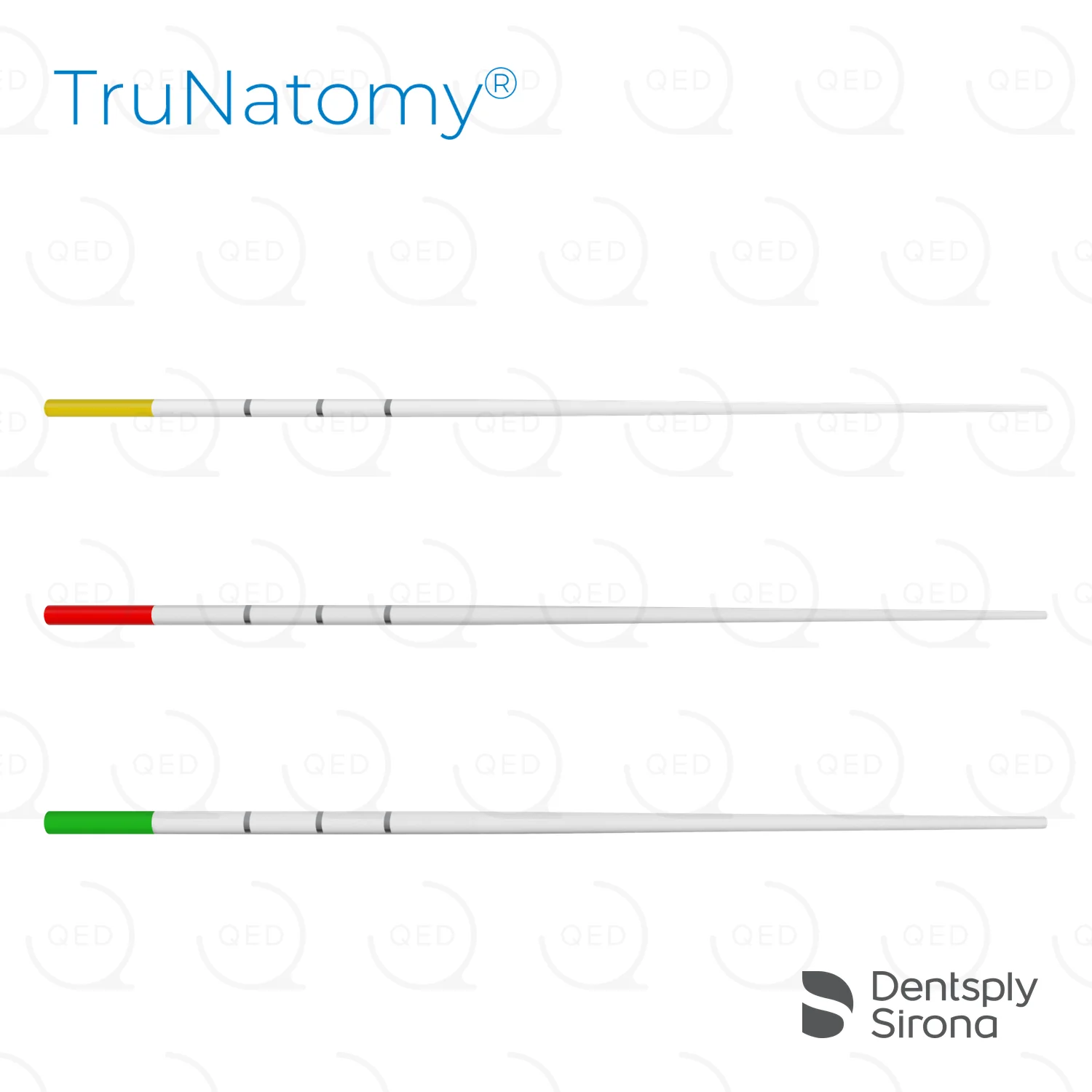 TruNatomy® Paper Points, Assorted (180)